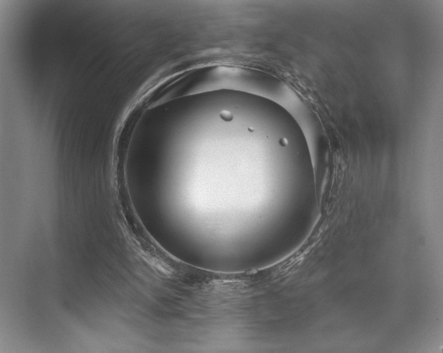 X0000073830150200608101212