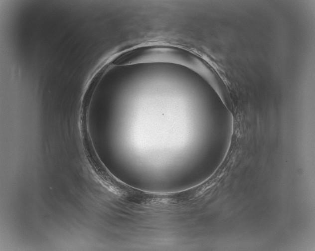 X0000073830152200608101212