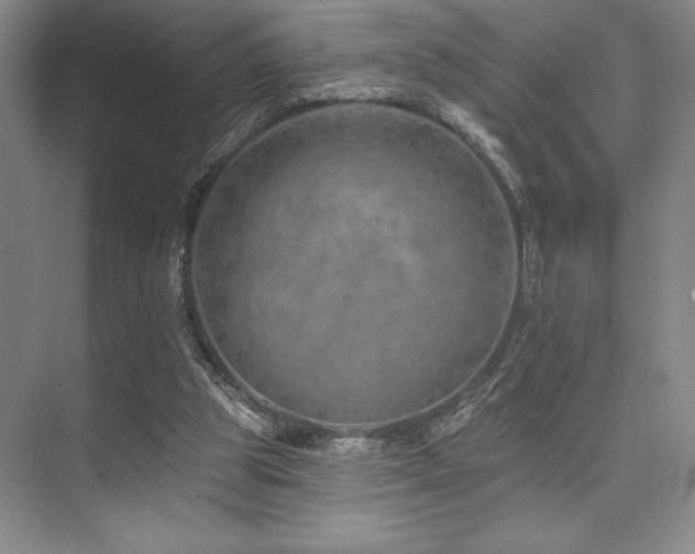 X0000073830153200608101212