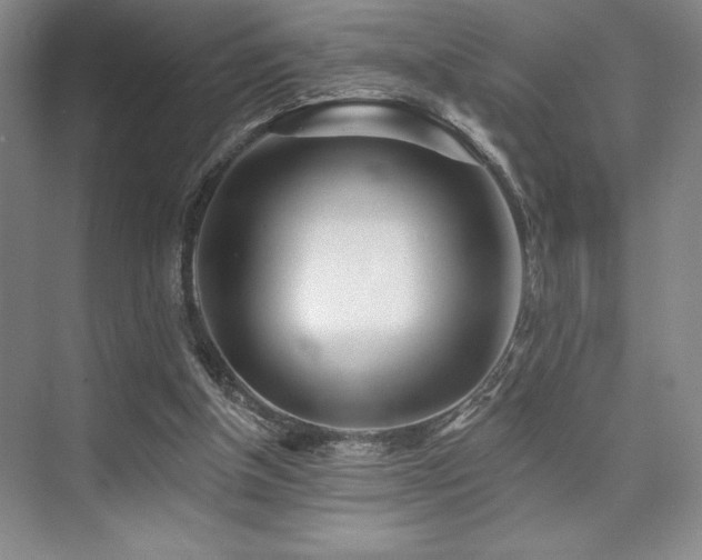 X0000073830154200608101212