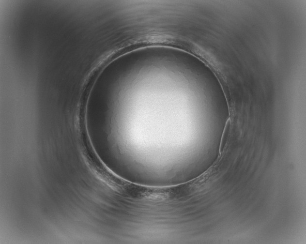 X0000073830155200608101212