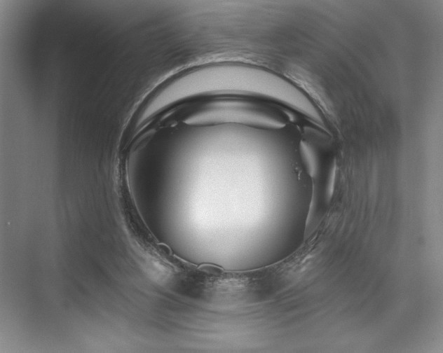 X0000073830156200608101212