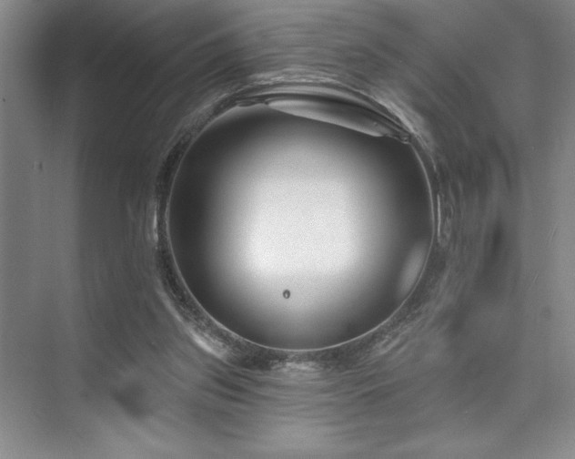 X0000073830157200608101212