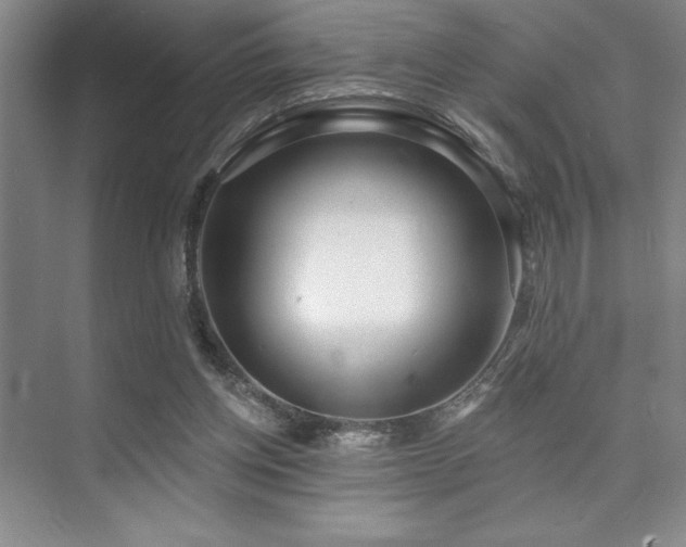 X0000073830158200608101212