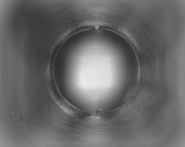 X0000073830159200608101212