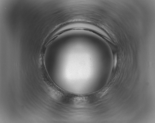 X0000073830160200608101212