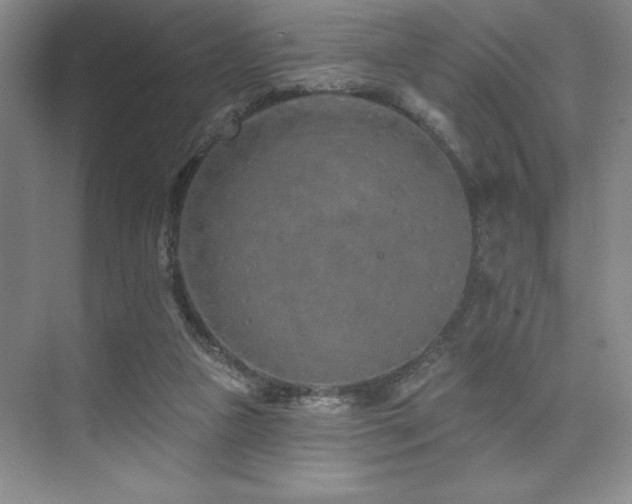 X0000073830161200608101212