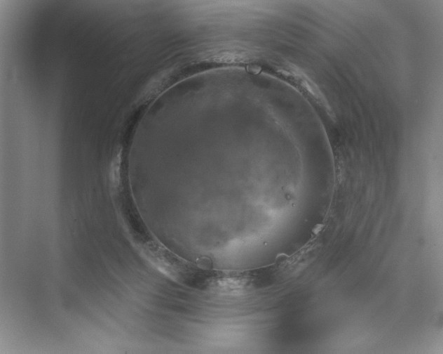 X0000073830163200608101212