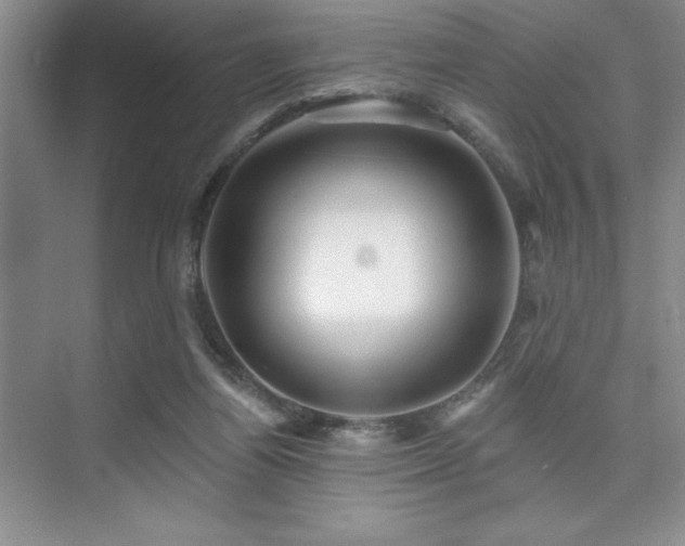 X0000073830164200608101212