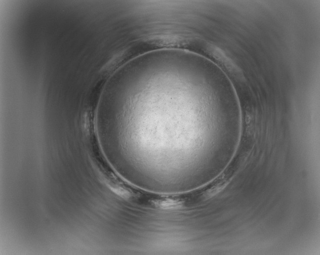 X0000073830165200608101213