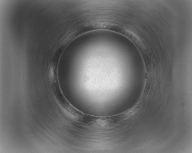 X0000073830166200608101213