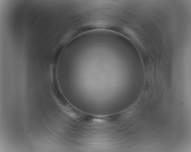 X0000073830167200608101213