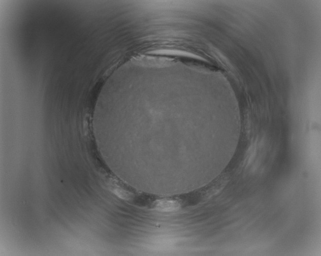 X0000073830169200608101213