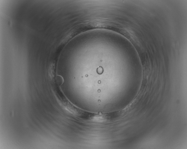 X0000073830171200608101213