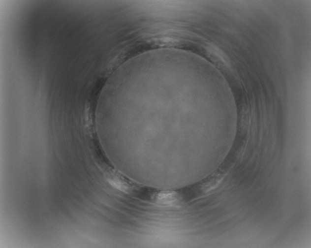 X0000073830173200608101213