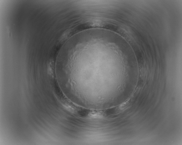 X0000073830175200608101213