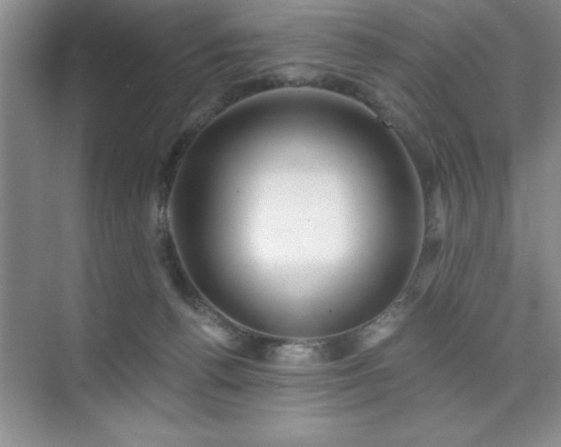 X0000073830176200608101213