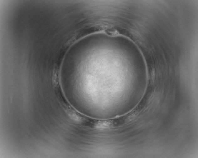 X0000073830177200608101213