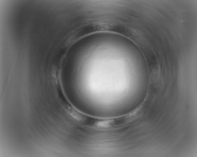 X0000073830178200608101213