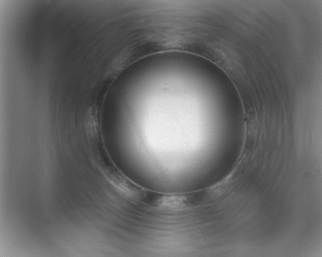 X0000073830179200608101213