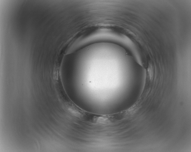 X0000073830180200608101213