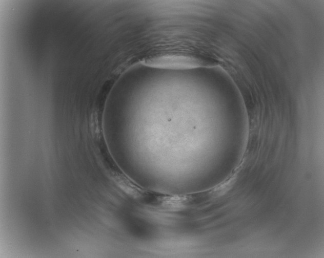 X0000073830182200608101213