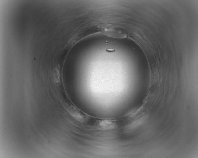 X0000073830183200608101213