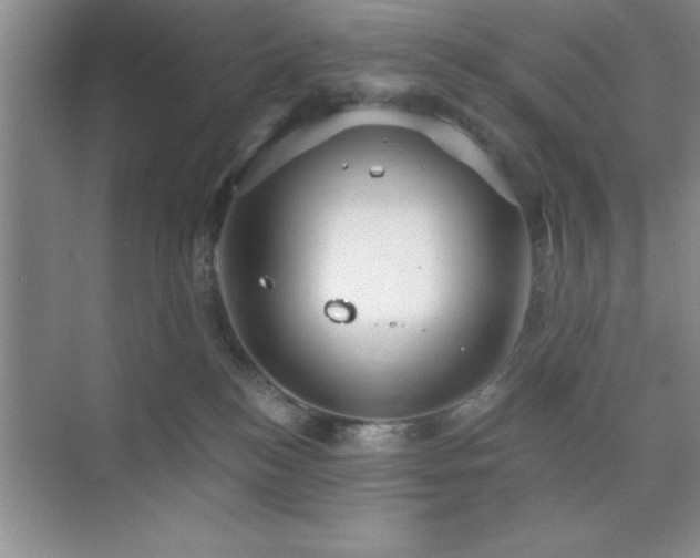 X0000073830184200608101213