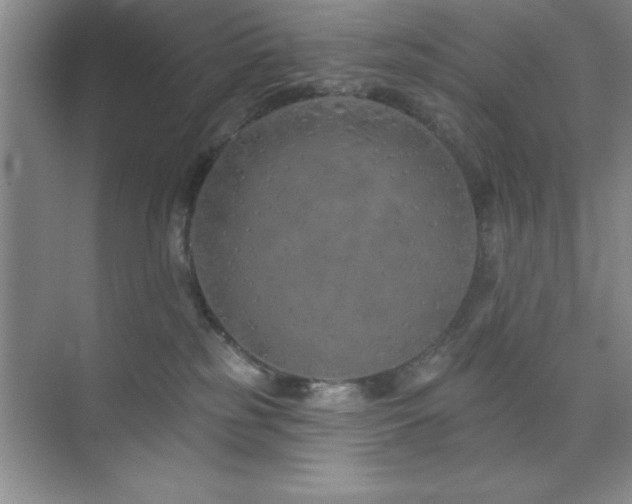 X0000073830185200608101213