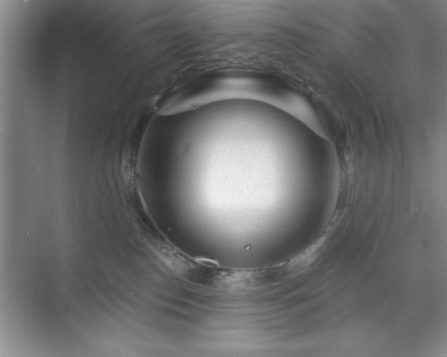 X0000073830186200608101213