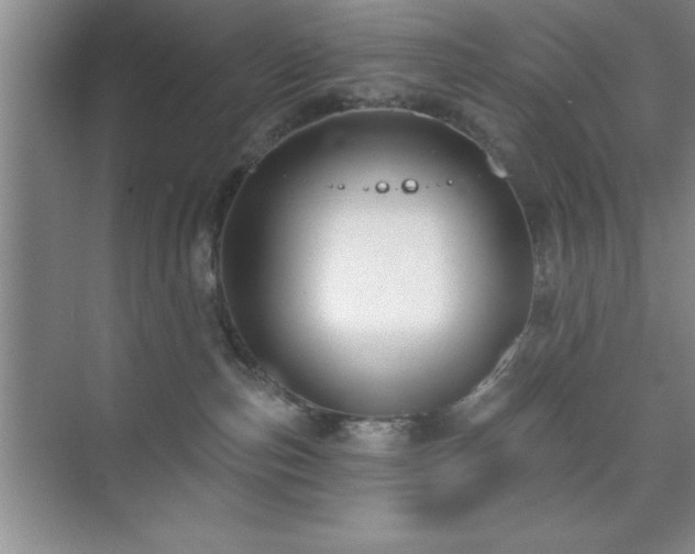 X0000073830187200608101213