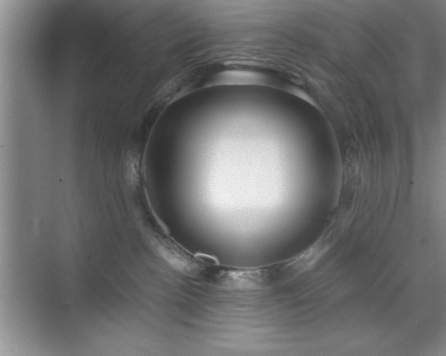 X0000073830188200608101213