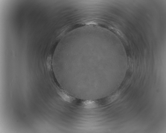 X0000073830189200608101213