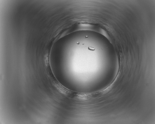 X0000073830190200608101213