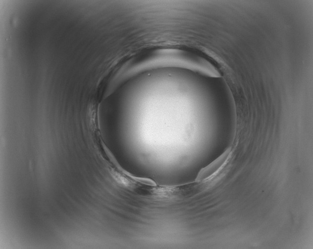 X0000073830192200608101213