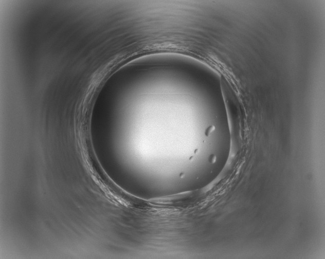 X0000073830193200608101212