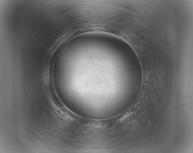 X0000073830194200608101212