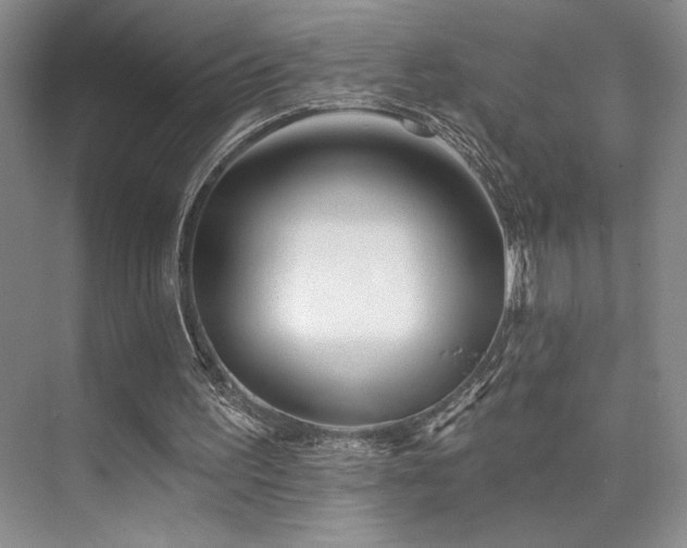 X0000073830195200608101212