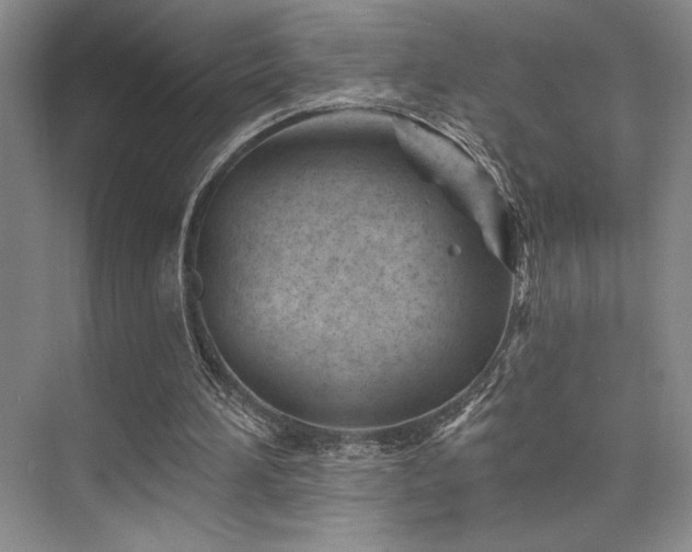 X0000073830196200608101212