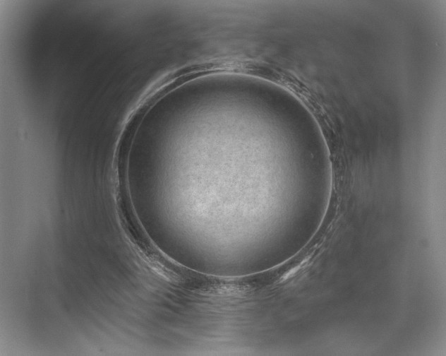 X0000073830198200608101212