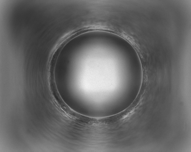 X0000073830199200608101212