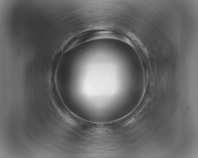 X0000073830201200608101212