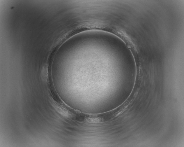 X0000073830202200608101212