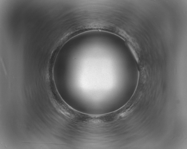 X0000073830203200608101212