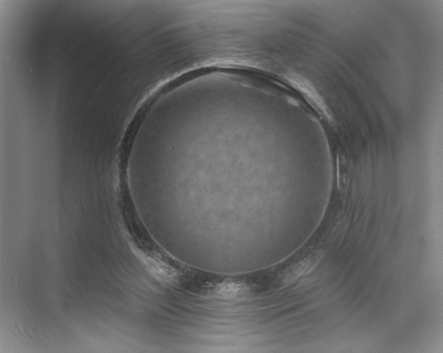 X0000073830204200608101212