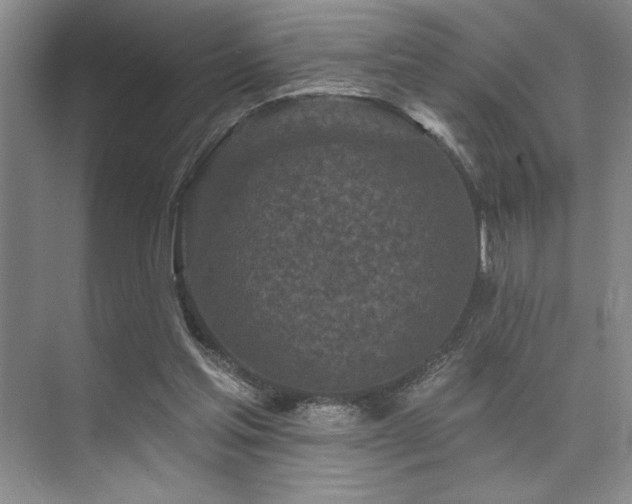 X0000073830205200608101212