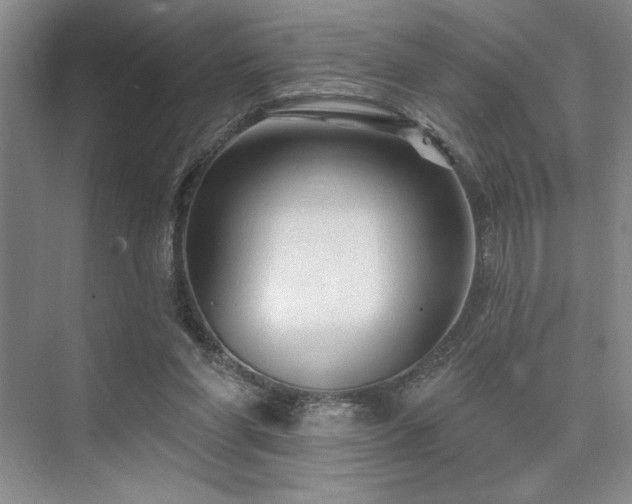 X0000073830206200608101212