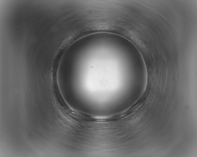 X0000073830207200608101212