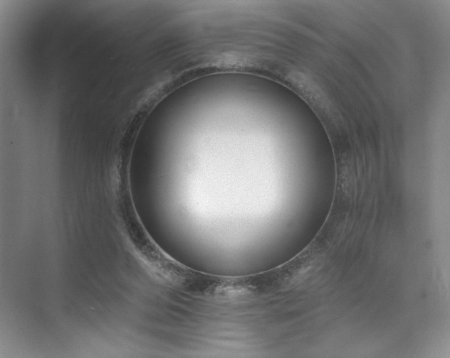 X0000073830208200608101212