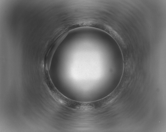 X0000073830209200608101212